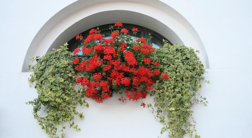 Bed and Breakfast Al Bagolaro Crocetta del Montello Exterior foto