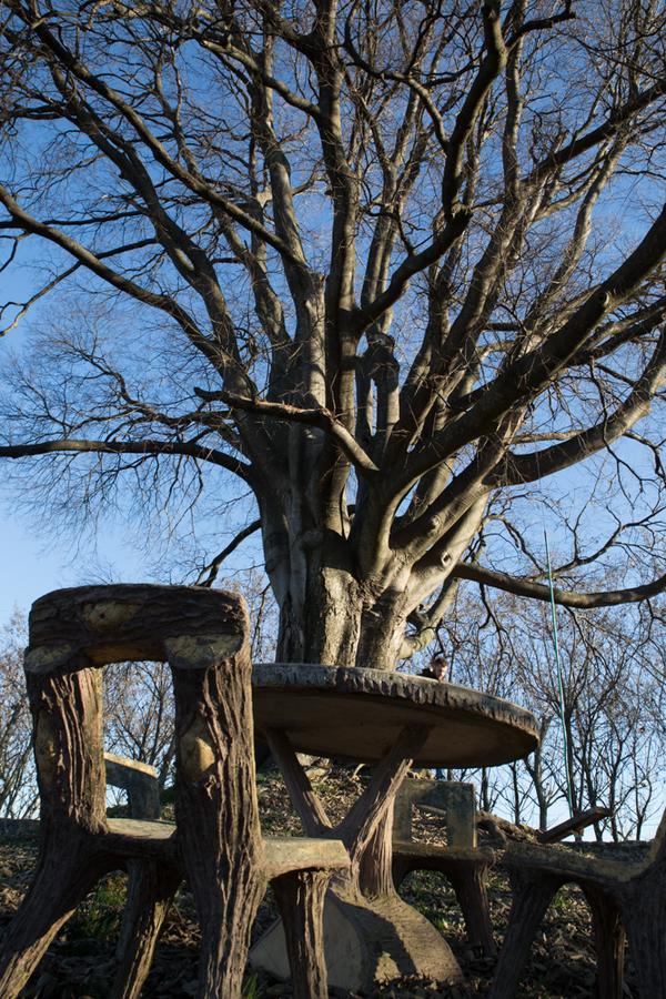 Bed and Breakfast Al Bagolaro Crocetta del Montello Exterior foto