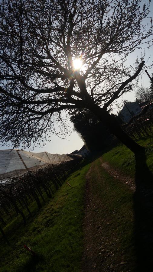 Bed and Breakfast Al Bagolaro Crocetta del Montello Exterior foto