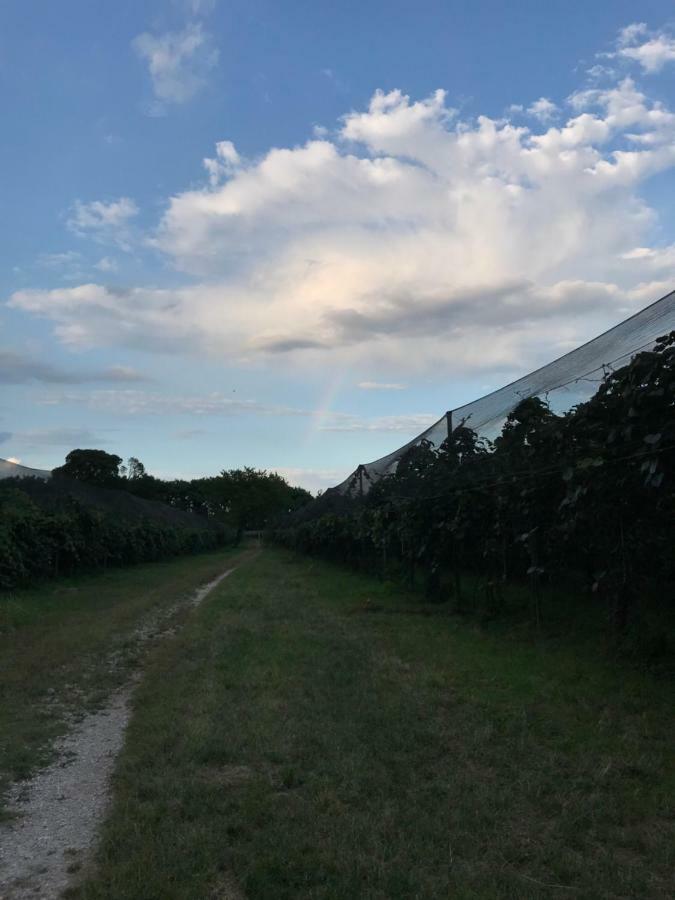 Bed and Breakfast Al Bagolaro Crocetta del Montello Exterior foto